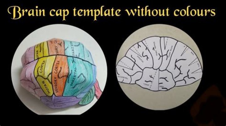 What is a brain cap?