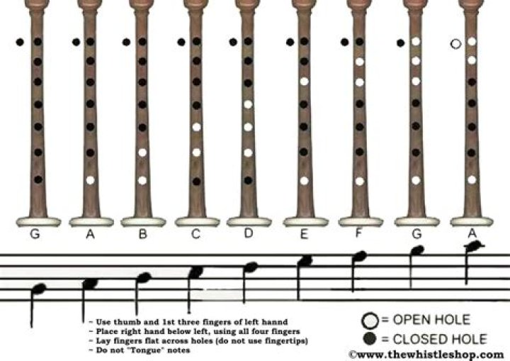 What is a chanter?