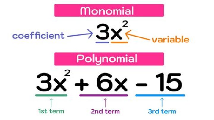 What is a characteristic of all odd degree polynomials?