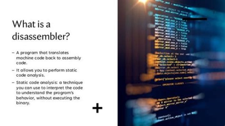 What is a code disassembler?