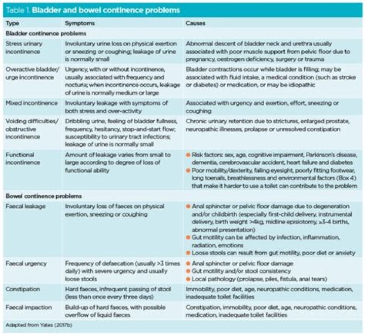 What is a continence assessment?