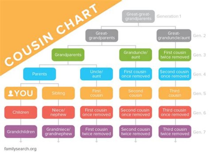 What is a cousin masculine or feminine?