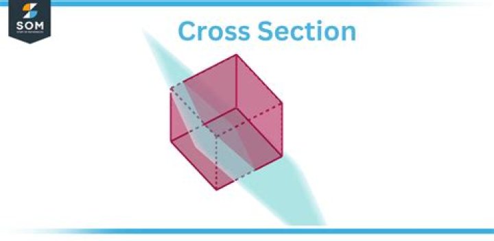 What is a cross-section of a figure?