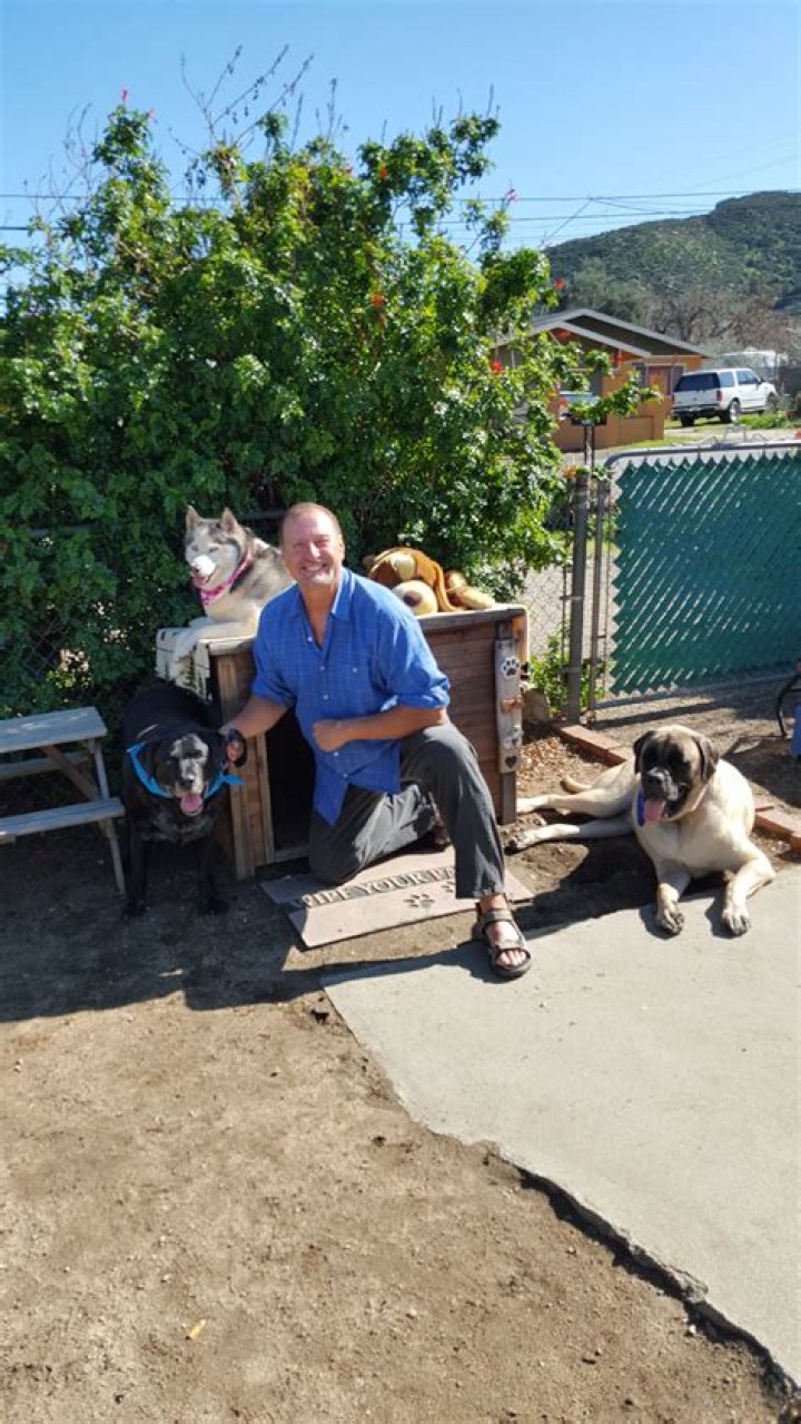 What is a fair price for dog sitting?