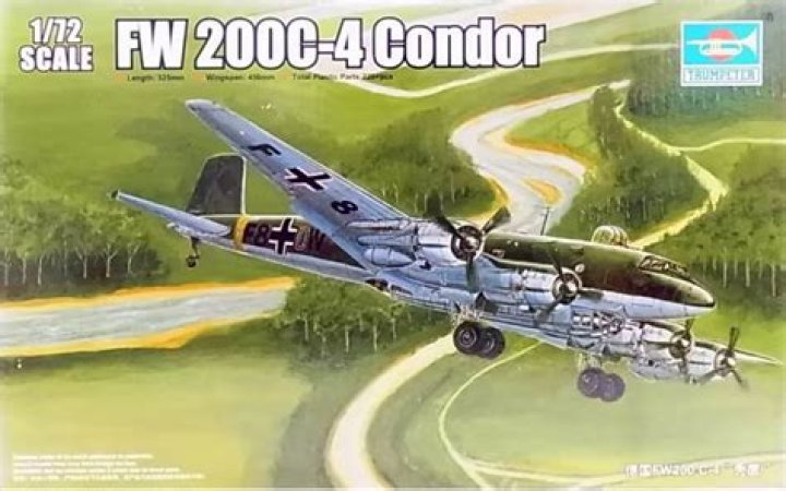 What is a Fw 200C-4?