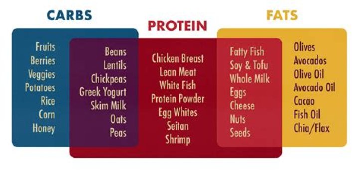 What is a good balance between carbs protein and fat?