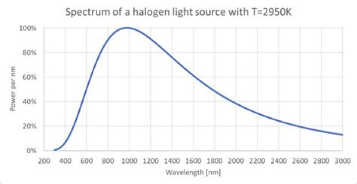 What is a halogen light source?