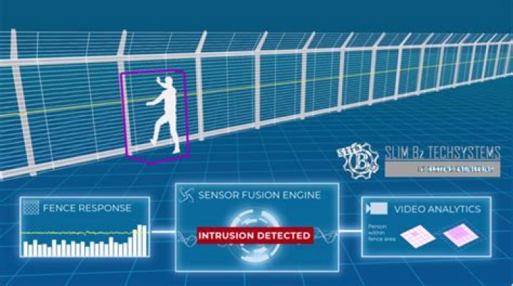 What is a intrusion detection analyst?
