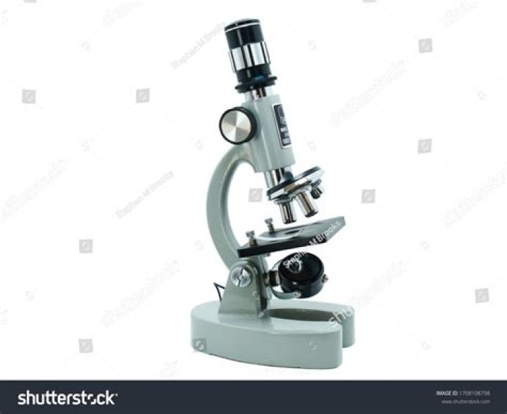 What is a light microscope simple definition?