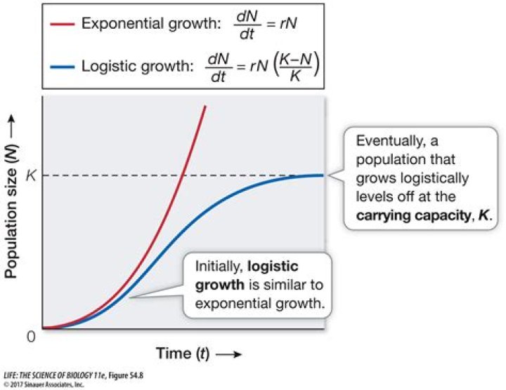 What is a logistic growth graph?