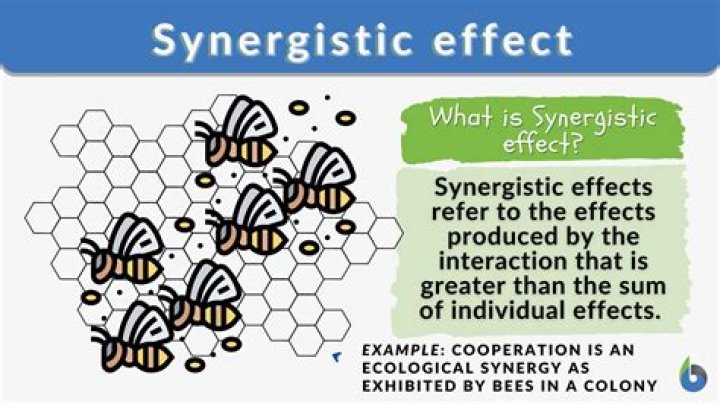 What is a mitogenic effect?