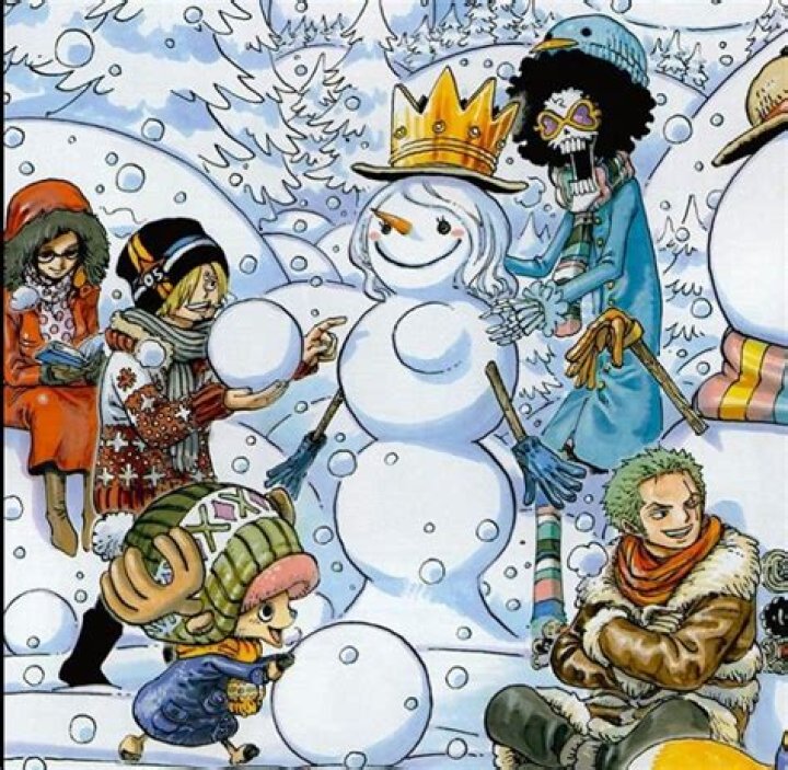 What is a Nakama in One Piece?