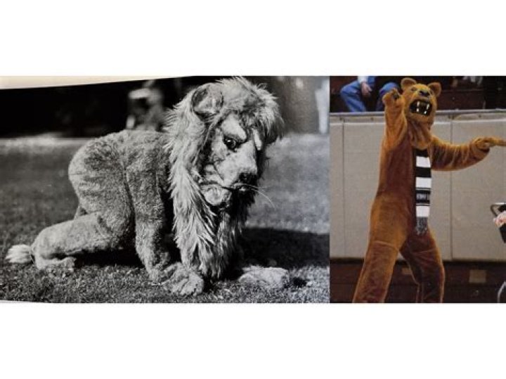 What is a Nittany Lion?