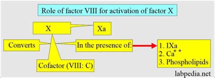 What is a normal factor 7 level?