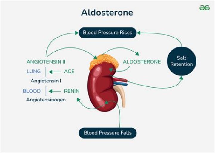 What is a normal range for aldosterone?