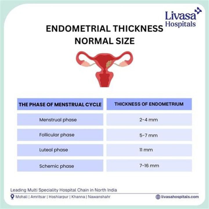 What is a normal size uterus in CM?