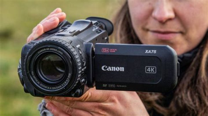 What is a PAL camcorder?