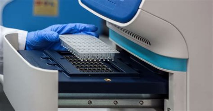 What is a PCR array?