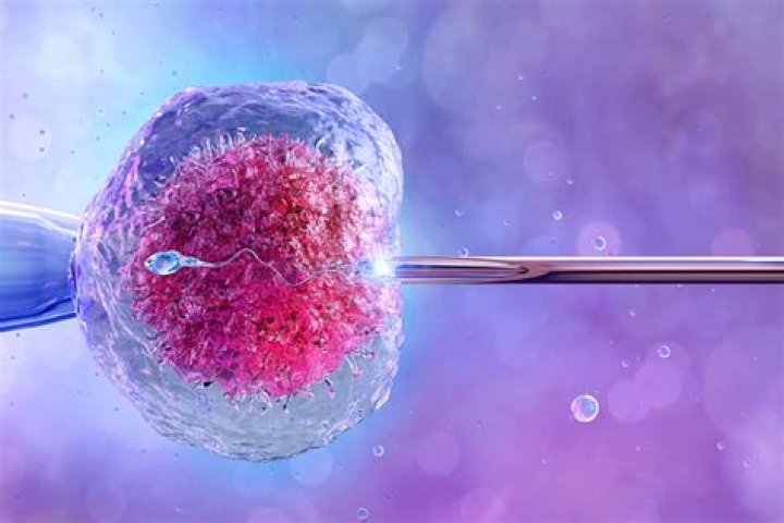What is a PMA in FDA?