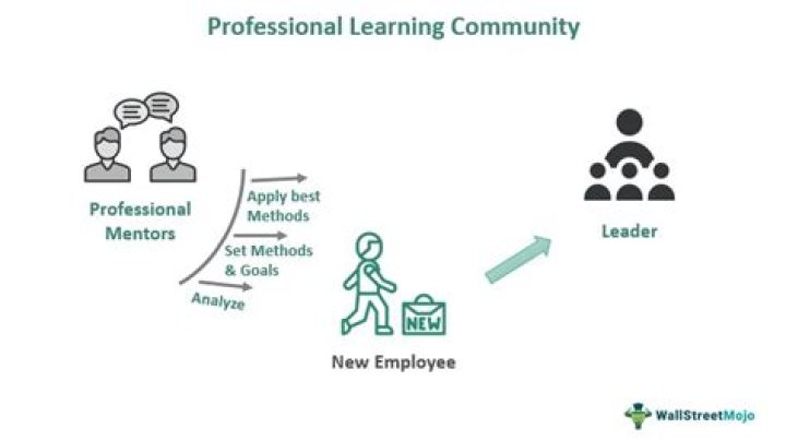 What is a professional learning community DuFour 2004?