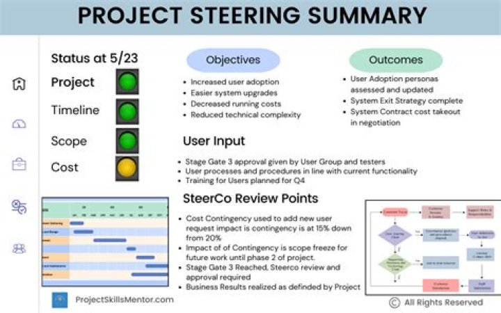 What is a project steering group?