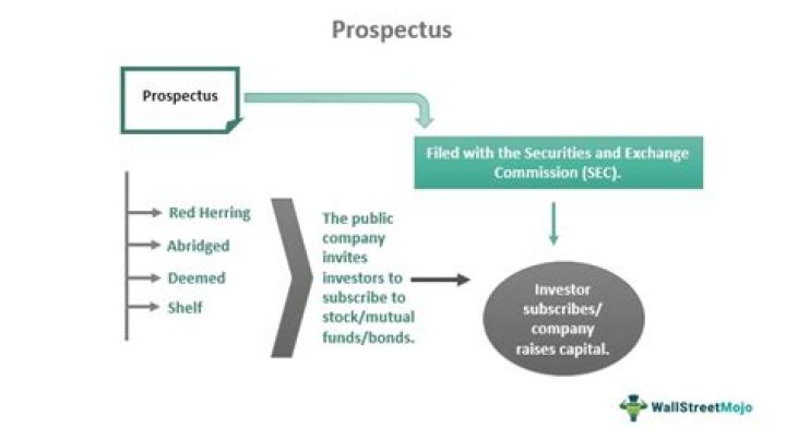What is a prospectus in trading?