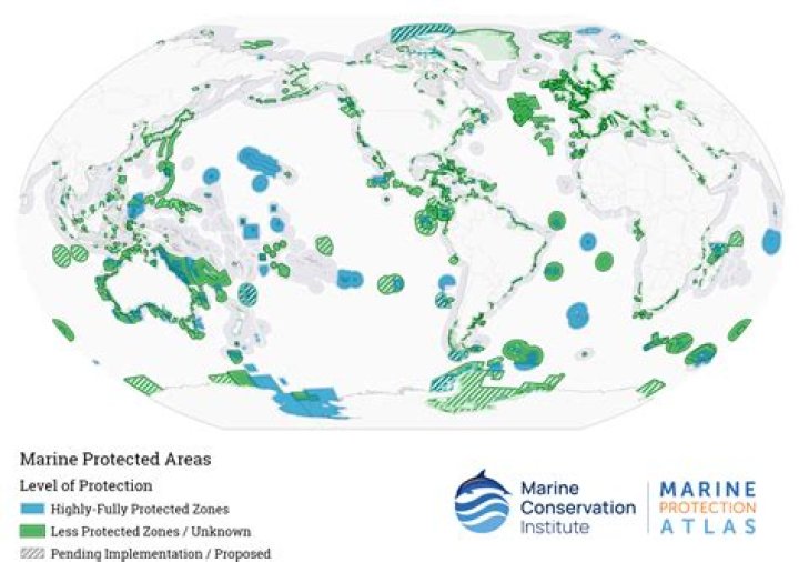 What is a protected area according to IUCN?