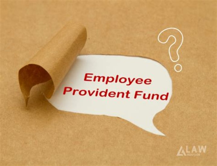 What is a provident fund and how does it work?