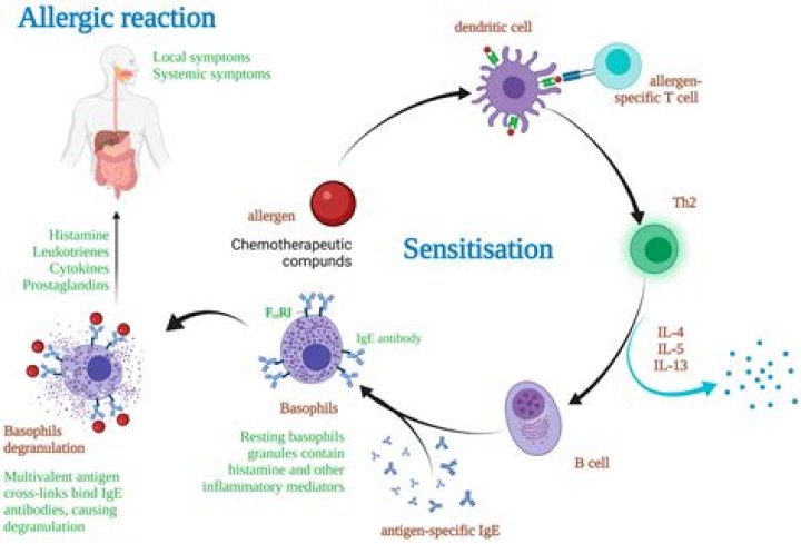 What is a Pseudoallergic reaction?