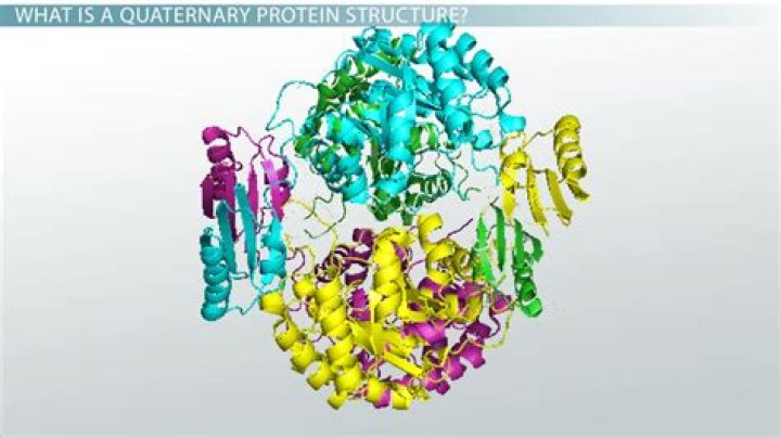 What is a quaternary structure in biology?