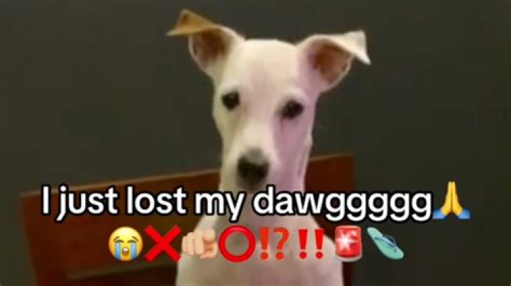 What is a raw dawg?
