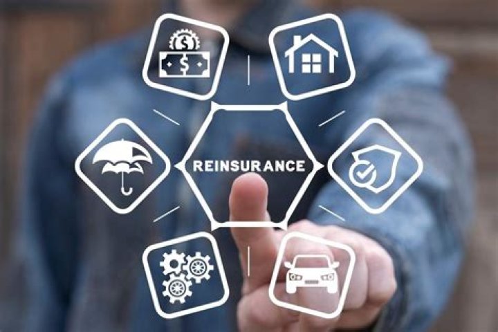 What is a reinsurance Programme?