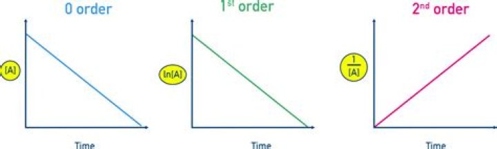 What is a second alto?