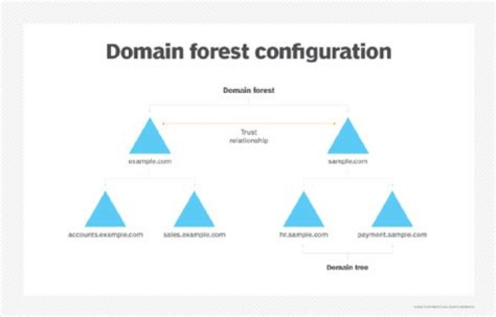 What is a single domain forest?