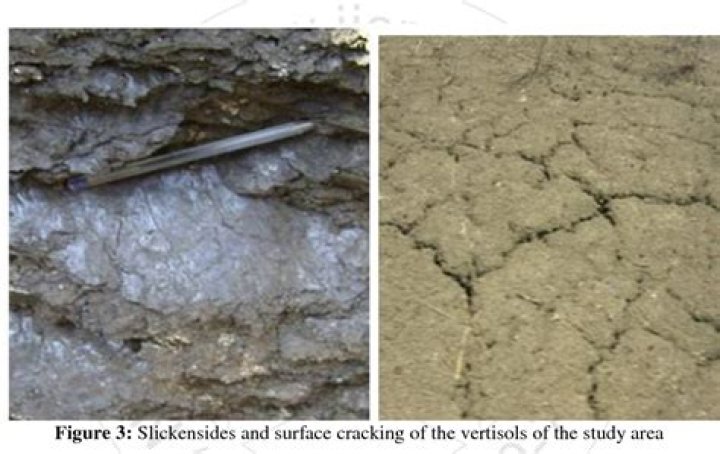 What is a slickenside in geology?