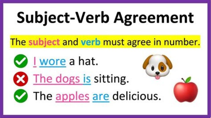 What is a subject verb error example?