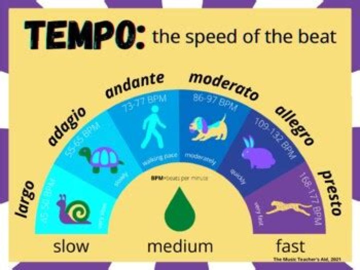 What is a Tempo car?