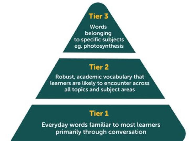 What is a Tier 3 word example?