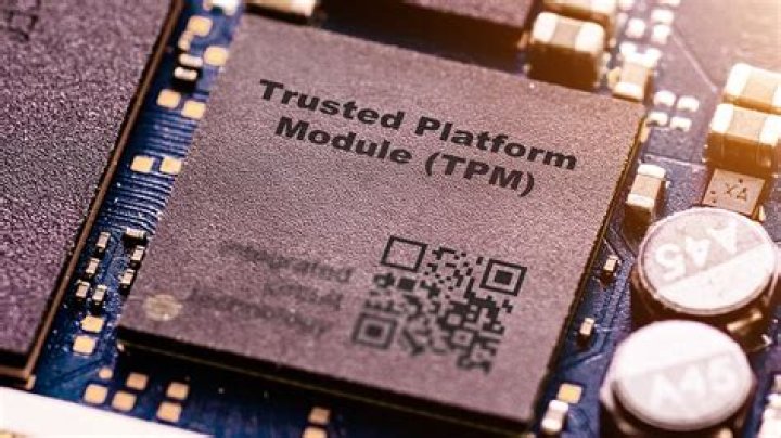 What is a TPM company?