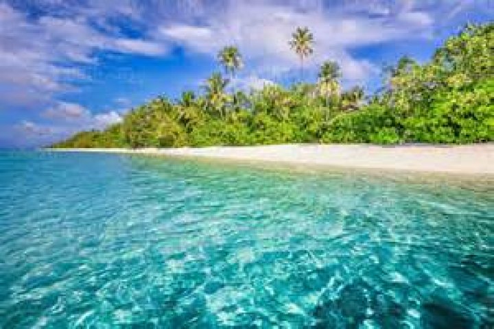 What is a tropical coastal?