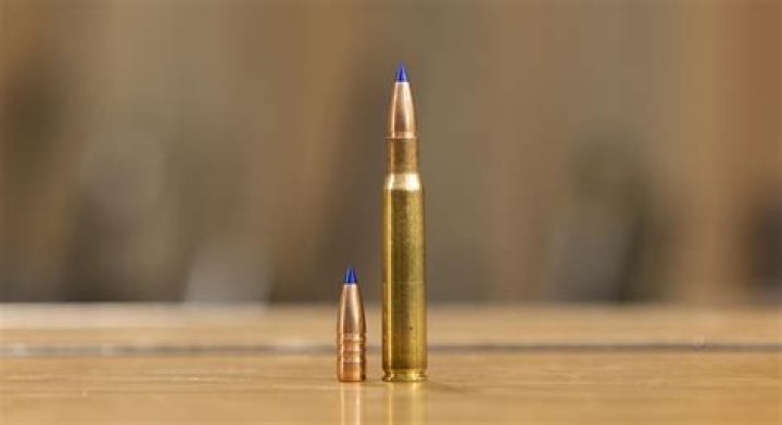 What is a TTSX bullet?