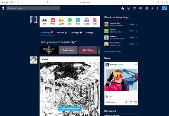 What is a Tumblr name?