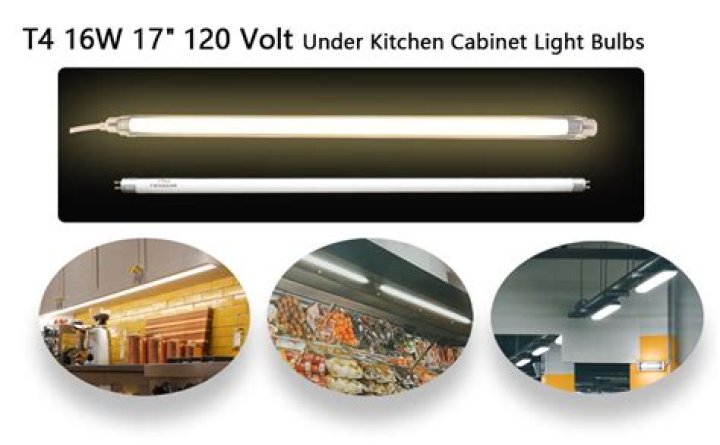 What is a type T4 bulb?