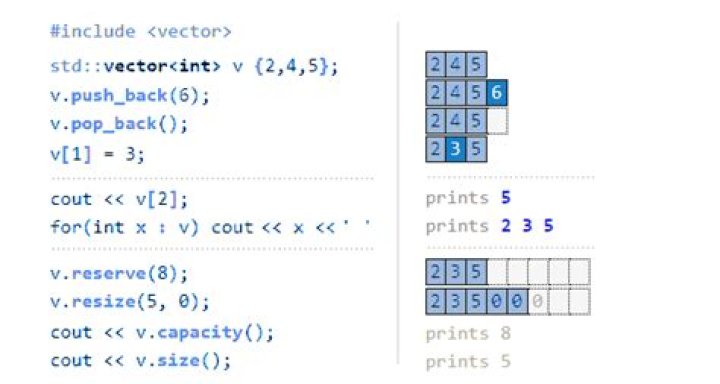 What is a vector in C __?