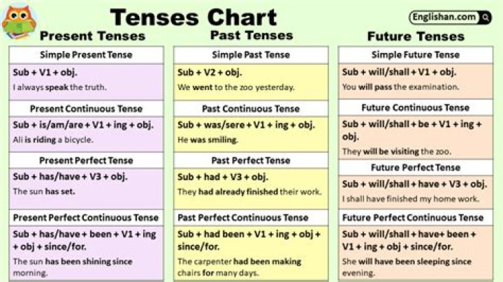 What is a Vorsec chart?