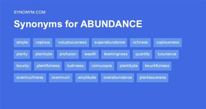 What is abundance synonyms?