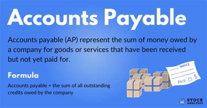 What is accounts payable to sales ratio?