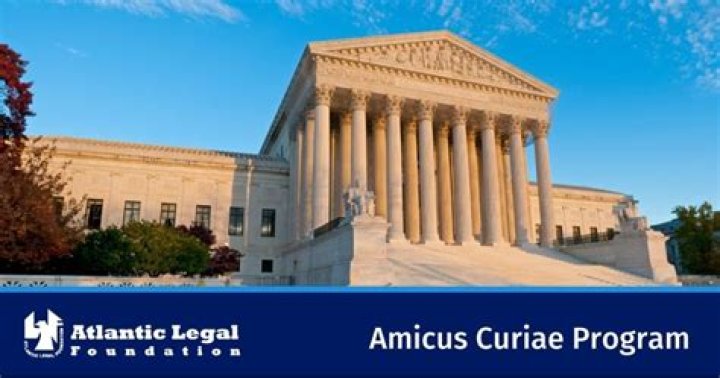 What is amicus curiae in legal terms?