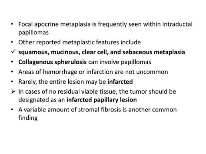 What is an apocrine tumor?