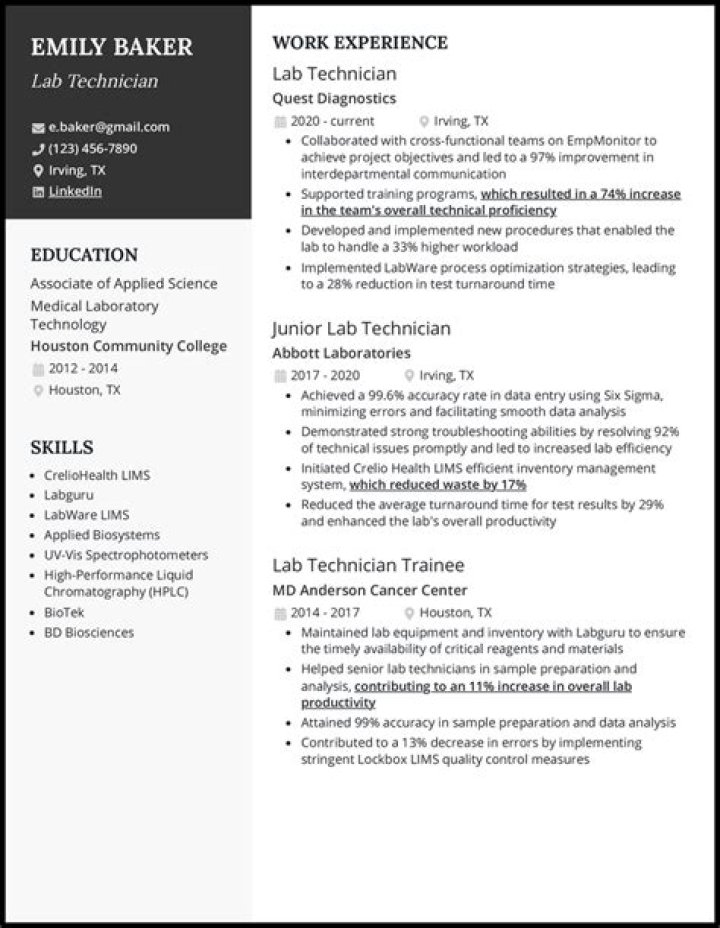 What is an assay lab technician?